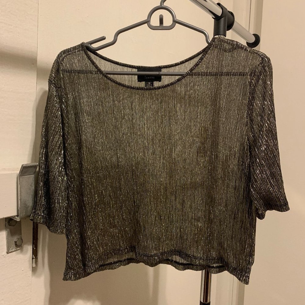 Short Sleeve Metallic See-Through Top